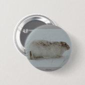 R7スノーシューヘア走準備 缶バッジ (正面&裏面)