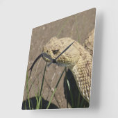 R8プレーリーラトルズナケのヘッドショット スクエア壁時計 (傾斜)