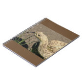 R8プレーリーラトルズナケのヘッドショット ノートブック (左側)