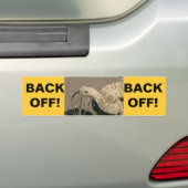 R8プレーリーラトルズナケ バンパーステッカー (車上)