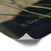 R8ラトルズナケのヘッドショット ポスター (角)