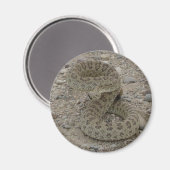 R9プライリーラトルズナケコイル マグネット (正面/裏面)