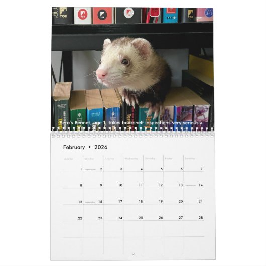 r/ferrets Calendar 4th Edition (2026) カレンダー (2月 2026)