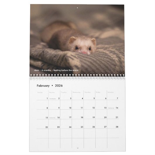 r/ferrets Calendar 5th Edition (2026) カレンダー (2月 2026)
