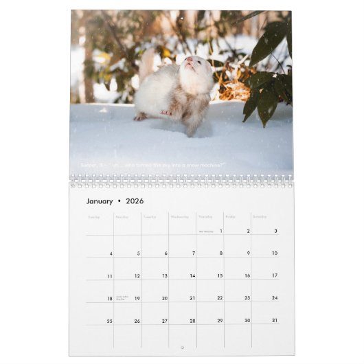 r/ferrets Calendar 5th Edition (2026) カレンダー (1月 2026)