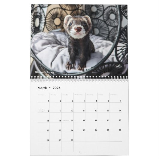 r/ferrets Calendar 5th Edition (2026) カレンダー (3月 2026)