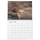 r/ferrets Calendar 5th Edition (2026) カレンダー (2月 2026)