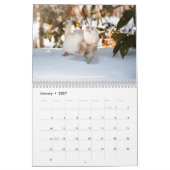 r/ferrets Calendar 5th Edition (2026) カレンダー (1月 2027)