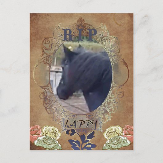 R.I.P. LAPPY – はがき (正面)