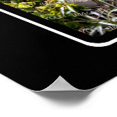 R Monogram独自の8フォトコラージブラックを作成 ポスター (角)