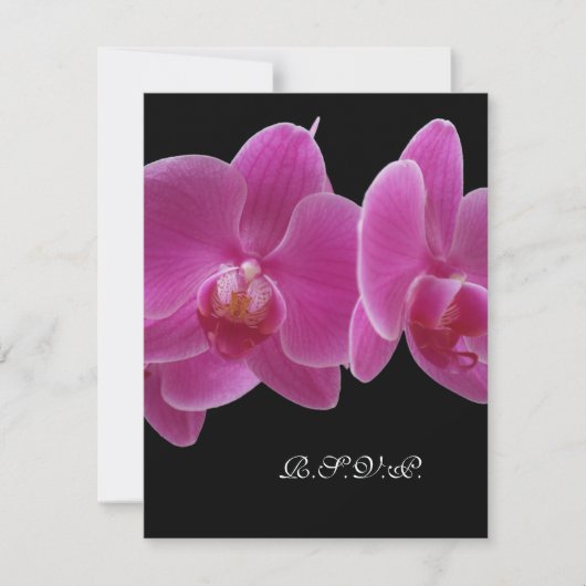 R.S.V.P. Without Menu招待状(5 x 7招待状) 出欠カード (正面)