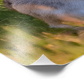 Rabbit フォトプリント (角)