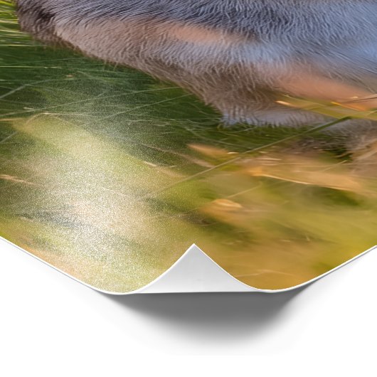 Rabbit フォトプリント (角)