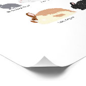 Rabbit breeds chart ポスター (コーナー)