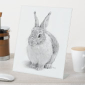 Rabbit Day 台座サイン (インサイチュ)