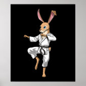 Rabbit Karate ポスター (正面)