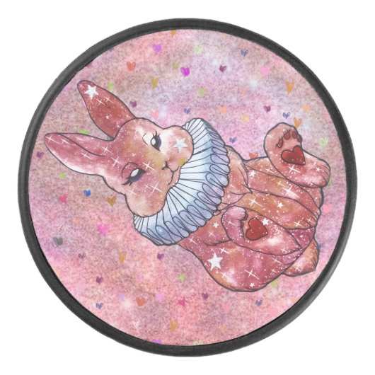 Rabbit named Ladybug アイスホッケーパック (正面)