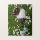 Rabbit Photograph Best Wildlife Photos ジグソーパズル (縦)