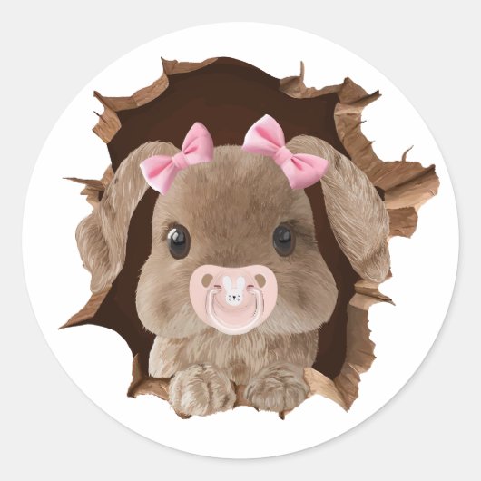 Rabbit with pacifier ラウンドシール (正面)