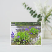 Rabbitear Iris ポストカード (スタンド正面)