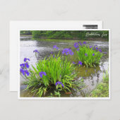 Rabbitear Iris ポストカード (正面/裏面)