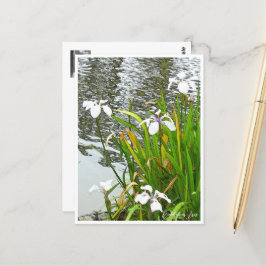 Rabbitear Iris ポストカード