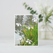 Rabbitear Iris ポストカード (スタンド正面)