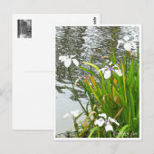 Rabbitear Iris ポストカード (正面/裏面)