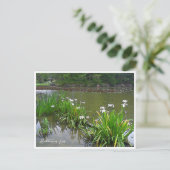 Rabbitear Iris ポストカード (スタンド正面)