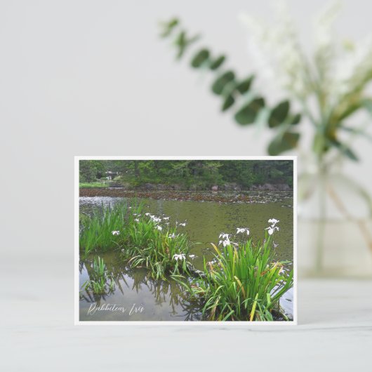 Rabbitear Iris ポストカード (スタンド正面)