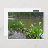 Rabbitear Iris ポストカード (正面/裏面)