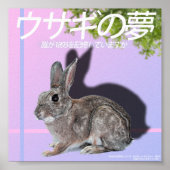 Rabbitwave 2.0ポスター ポスター (正面)