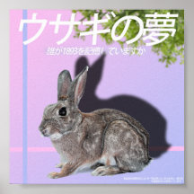 Rabbitwave 2.0ポスター