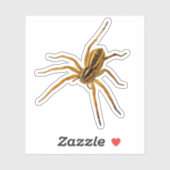 Rabid Wolf Spider (Rabidosa rabida) シール (シート)