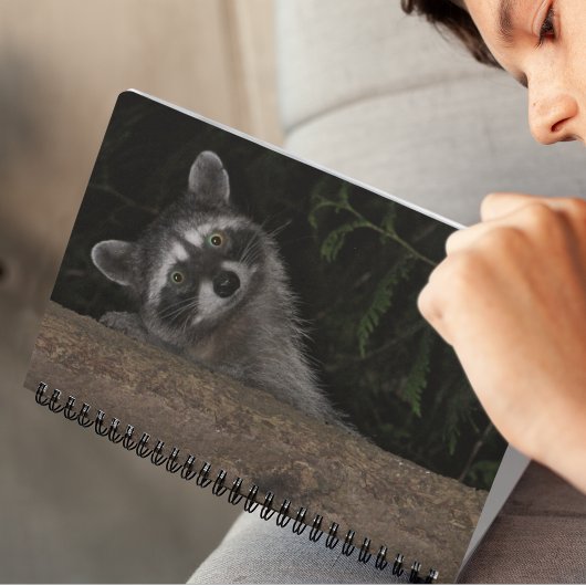 Raccoonが木の後ろから覗く自然写真 ノートブック