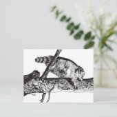 RACCOON シーズンポストカード (スタンド正面)