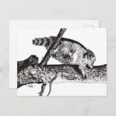 RACCOON シーズンポストカード (正面/裏面)