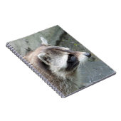 Raccoon_2015_0101 ノートブック (右側)