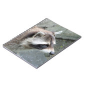 Raccoon_2015_0101 ノートブック (左側)