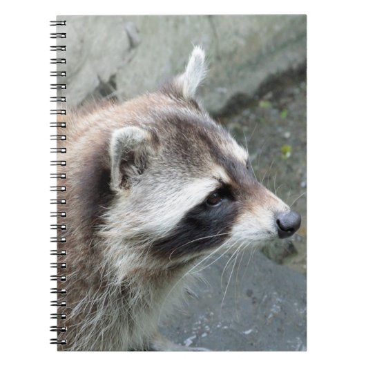 Raccoon_2015_0101 ノートブック (正面)