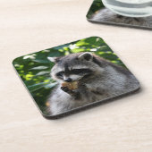 Raccoon_2015_0116 コースター (左側)