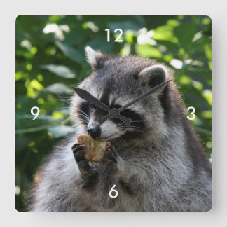Raccoon_2015_0116 スクエア壁時計