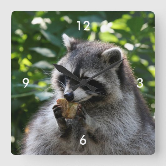 Raccoon_2015_0116 スクエア壁時計 (正面)