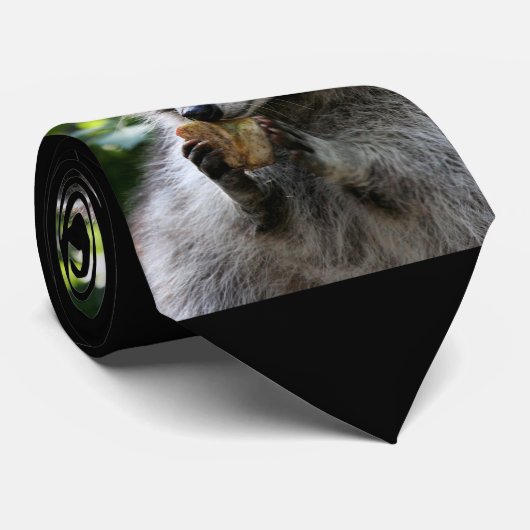 Raccoon_2015_0116 ネクタイ (ロール)