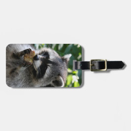 Raccoon_2015_0116 ラゲッジタグ