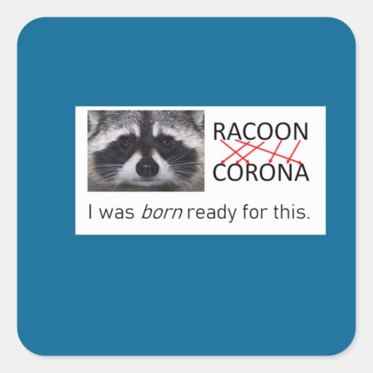 Raccoon anagram Corona得 it covid 19マスクをする スクエアシール (正面)