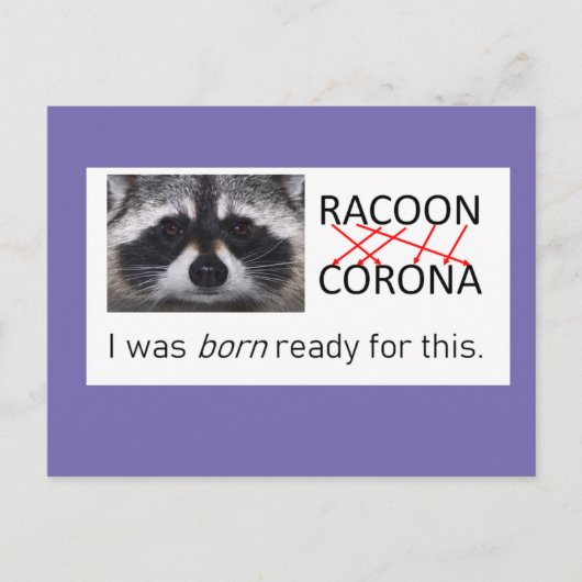 Raccoon anagram Corona得 it covid 19マスクをする ポストカード (正面)