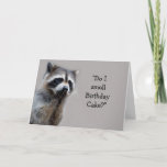 Raccoon Animal Humor Birthday Cake Fun Card カード<br><div class="desc">Raccoon Animal  Humor Birthday Cake funny</div>