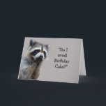 Raccoon Animal Humor Birthday Cake Fun Card カード<br><div class="desc">Raccoon Animal  Humor Birthday Cake funny</div>