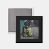 Raccoon drinking matcha latte funny animal meme me マグネット (正面/裏面)